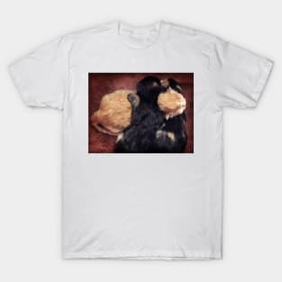 Kitten Cuddle T-Shirt